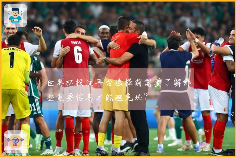 世界杯投注平台选择前需要了解哪些重要信息才能避免坑？