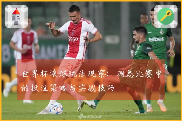 世界杯滚球玩法观察：洞悉比赛中的投注策略与实战技巧