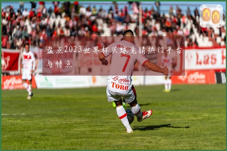 盘点2023世界杯买球竞猜热门平台与特点