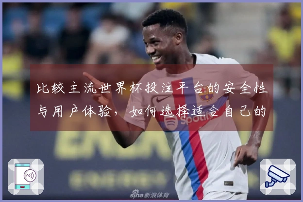 比较主流世界杯投注平台的安全性与用户体验，如何选择适合自己的平台？