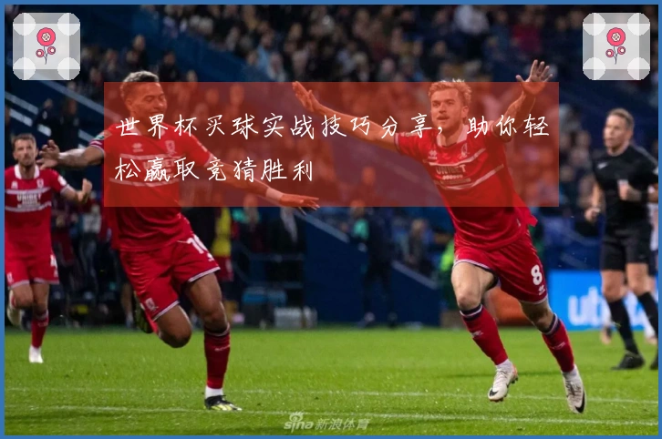 世界杯买球实战技巧分享，助你轻松赢取竞猜胜利