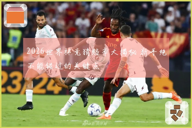2026世界杯竞猜赔率大揭秘 新手绝不能错过的关键点