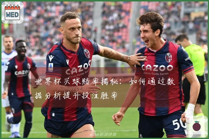 世界杯买球赔率揭秘：如何通过数据分析提升投注胜率
