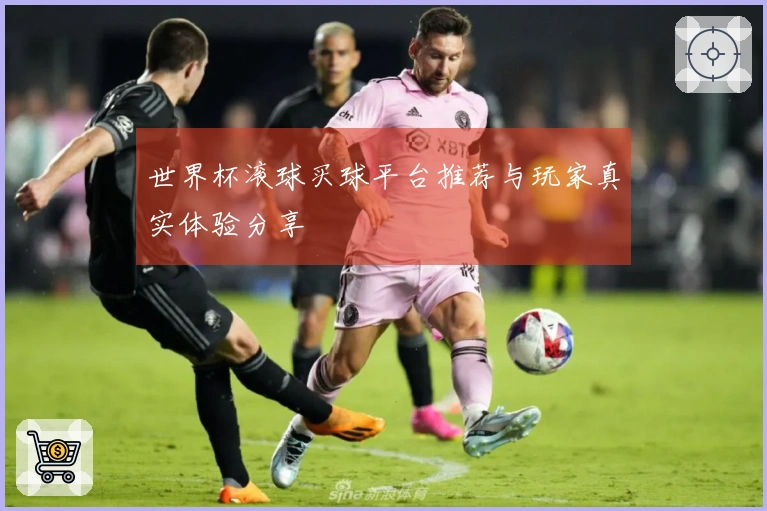 世界杯滚球买球平台推荐与玩家真实体验分享